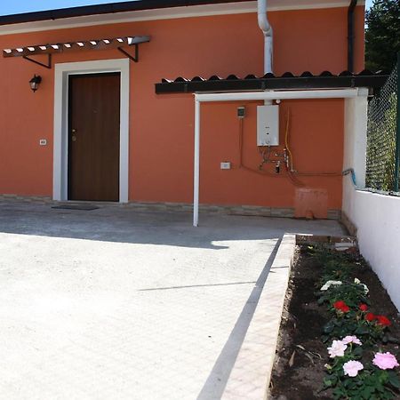 B&B La La Rose Piedimonte San Germano Exterior photo